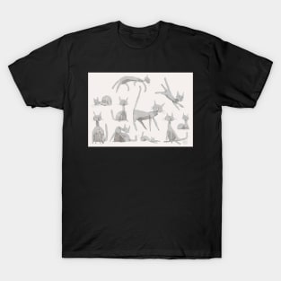 cat team T-Shirt